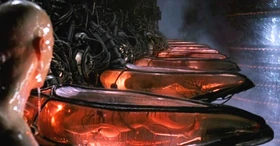 


The Trump Matrix. Wage slaves waking up