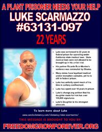 Luke Scarmazzo
