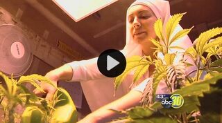 Merced cannabis nun 2