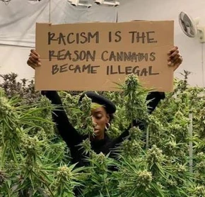 Racism is the reason cannabis became illegal