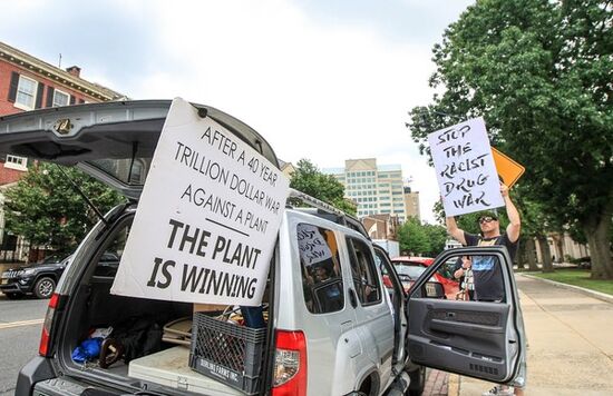 Trenton 2017 June. New Jersey. The plant is winning