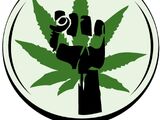 US Republican-led war on cannabis