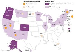 Marijuana and 2016 US election