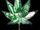 Jesus cannabis. Leaves for the healing of the nations. Revelation 22-2.jpg