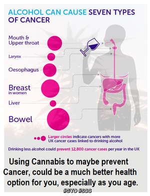 Alcohol can cause seven types of cancer