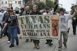 Austin Texas 2016 Nov 11 veterans, medical marijuana marchers