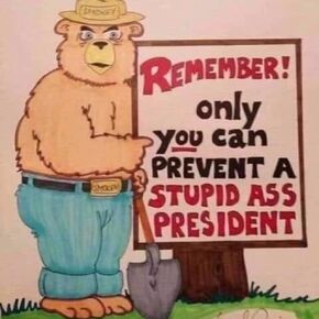 Remember! Only you can prevent a stupid ass President