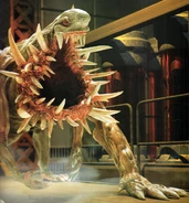 RESEARCH ON BIOHAZARD 2 final edition