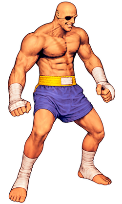 Sagat Workout Routine: Train like the Street Fighter Character based around  a Knock Out King Sagat Petchyindee – Superhero Jacked