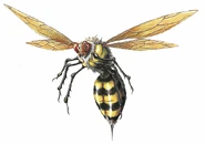 RE Wasp.png (269 KB) Wasp