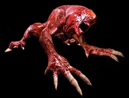 LickerBeta.png (214 KB) Licker β in Resident Evil 5