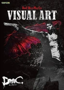 DmC Visual Art, artbook