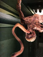 RE2 Licker Ceiling.png (1.28 MB) RESEARCH ON BIOHAZARD 2 final edition