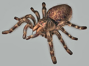 Giant Spider from Resident Evil: Outbreak