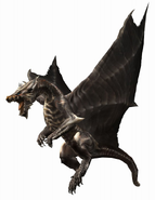 Kushala Daora