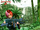 Dino Crisis Regina Wallpaper.png