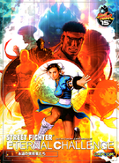 Eternal Challenge - The Art of Street Fighter Cover by Shinkiro