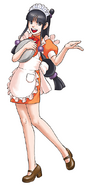 Phoenix Wright: Ace Attorney - Trials and Tribulations