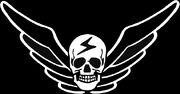 Shadaloo's symbol.