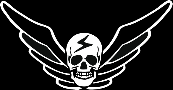 Picture of Shadaloo