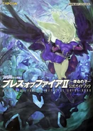 BoFII GBA Guidebook.png (584 KB) Guidebook, GBA