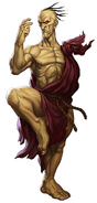 Street Fighter III 3rd Strike Online Edition