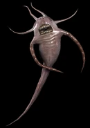 GLarva.png (40 KB) G-Larva