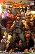 Street Fighter # 12 Comic Cover Art