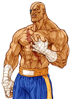 Sagat Workout Routine: Train like the Street Fighter Character based around  a Knock Out King Sagat Petchyindee – Superhero Jacked