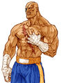 Sagat in Capcom vs. SNK 2 (Capcom groove)