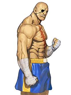 Sagat Workout Routine: Train like the Street Fighter Character based around  a Knock Out King Sagat Petchyindee – Superhero Jacked