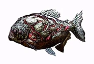 Piranha