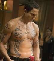 105 Sasha Roiz Tattoos