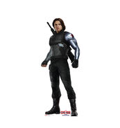 WinterSoldier CACW