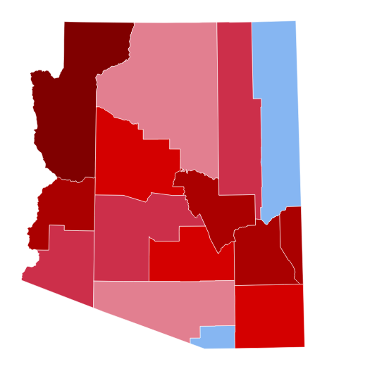 4052 United States Presidential Election in Arizona | Captain Matthew ...