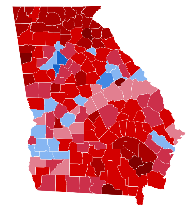 4104 United States Presidential Election in Georgia | Captain Matthew ...