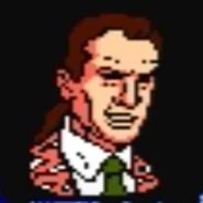 Appearance in the NES videogame