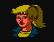 Appearance in the NES videogame