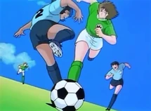 Schester ova8 (SCT) 1