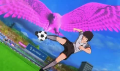 Nitta's Peregrine Falcon Running Volley