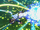 Miracle Overhead Shot