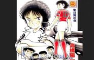 #8 Hayabusa vs Tsubasa (隼対翼の巻), 1993-08-25, ISBN 9784087828085, 332p