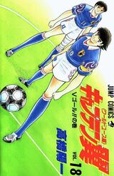 Tsubasa Misaki Vol18 (BWY).jpg