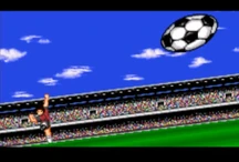 Peregrine Falcon Shot