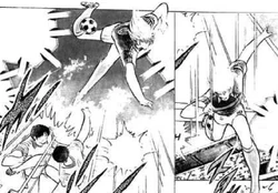 Flamingo Clip | Captain Tsubasa Wiki | Fandom