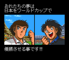 Captain Tsubasa J: The Way to World Youth - Wikipedia