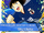 Shun Nitta - Instinct de lutte traversant le terrain