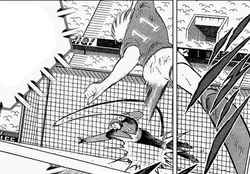 Germany Jr. Youth | Captain Tsubasa Wiki | Fandom