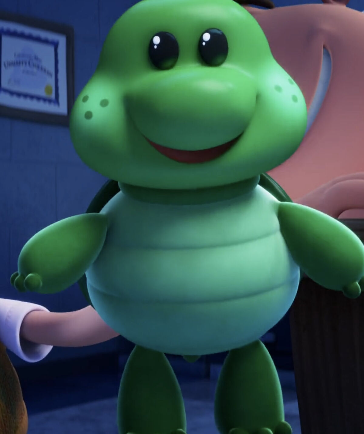 Turtle 200 online