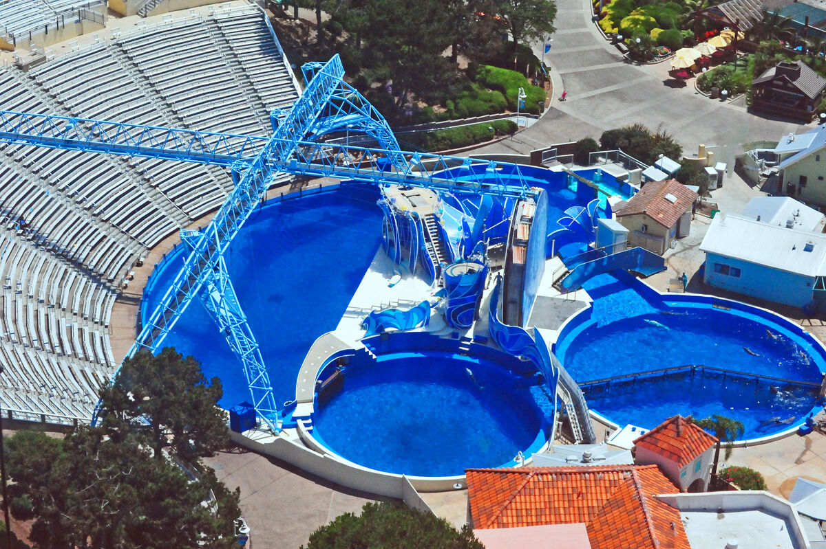 SeaWorld San Diego | Captive Cetaceans Wiki | Fandom
